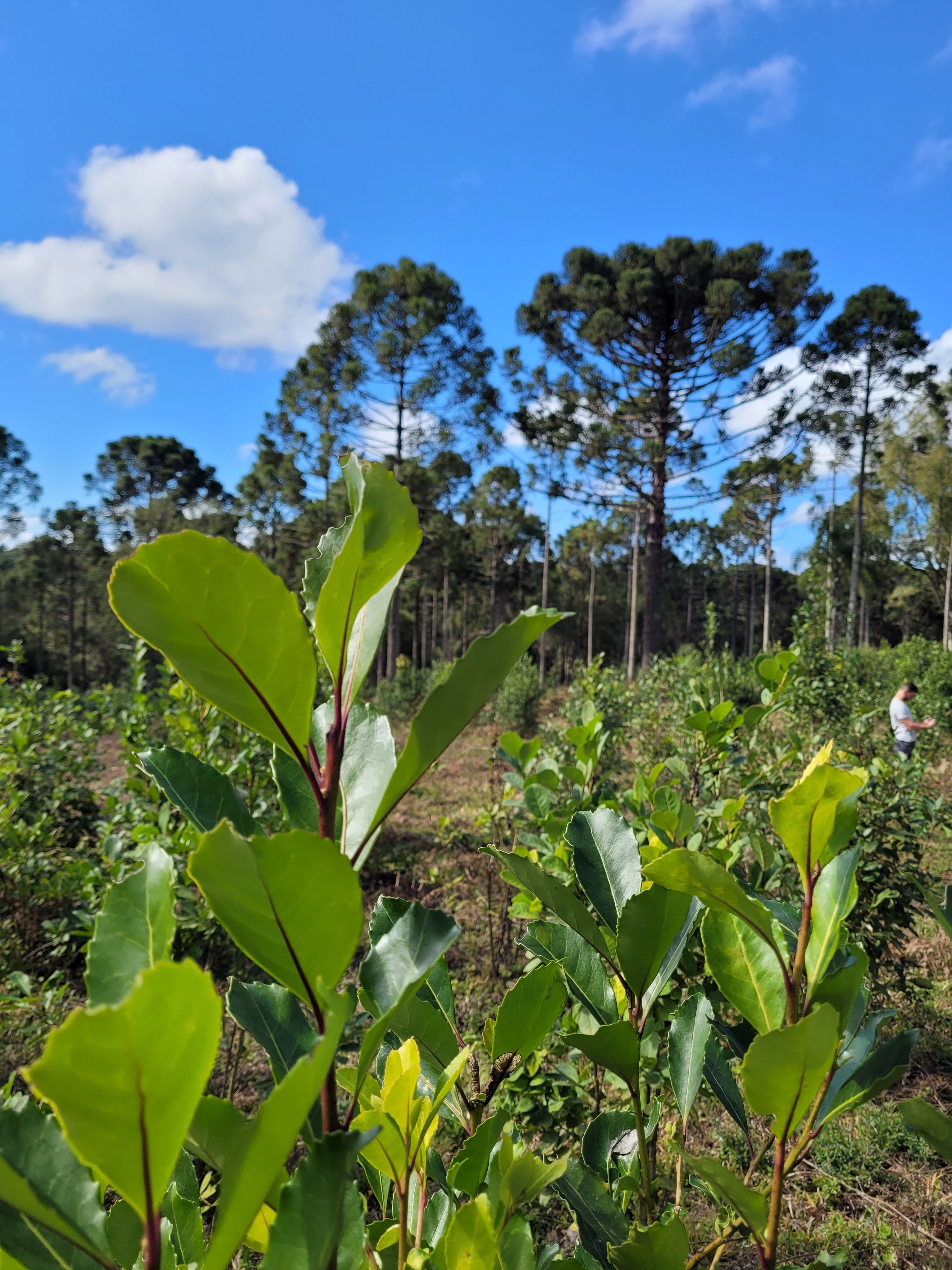 And better soil means better crops